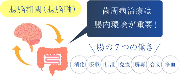 歯周病治療は腸内環境が重要！