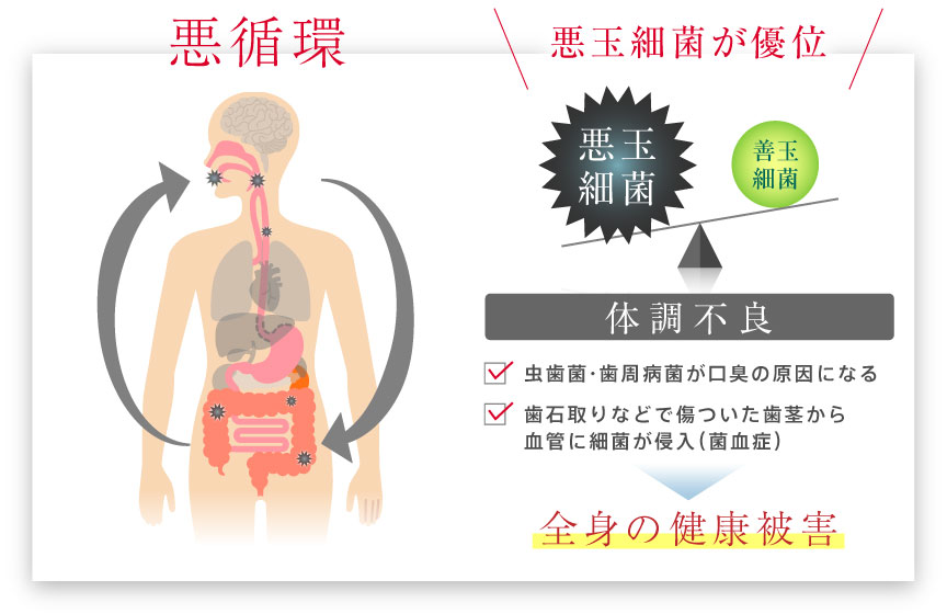 悪循環：悪玉細菌が優位だと全身の健康被害