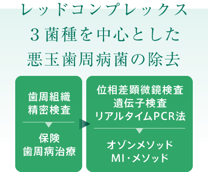 レッドコンプレックス3菌種を中心とした悪玉歯周病菌の除去