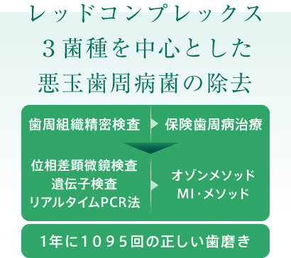 レッドコンプレックス3菌種を中心とした悪玉歯周病菌の除去