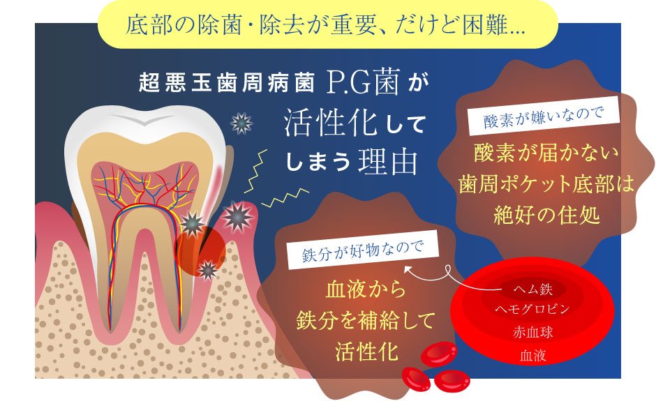 底部の除菌・除去が重要、だけど困難...