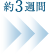 約3週間