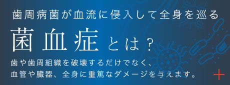 歯周病菌が血流に侵入して全身を巡る菌血症とは？