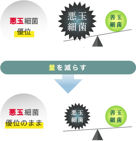 悪玉細菌が優位