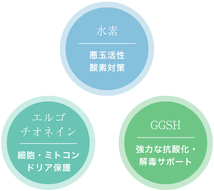 水素 × エルゴチオネイン × GSSH