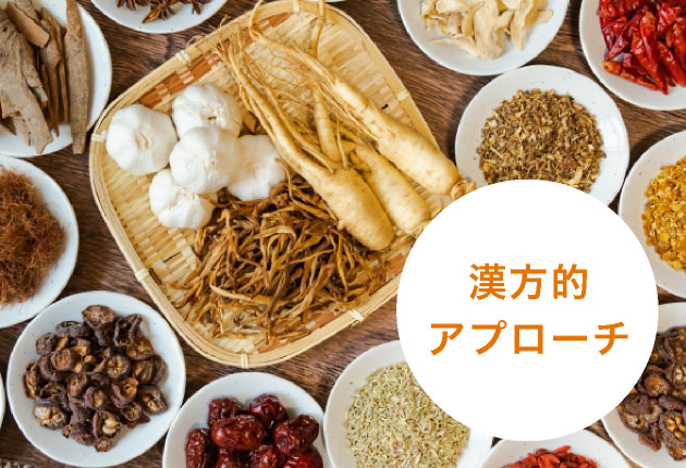 漢方的アプローチ