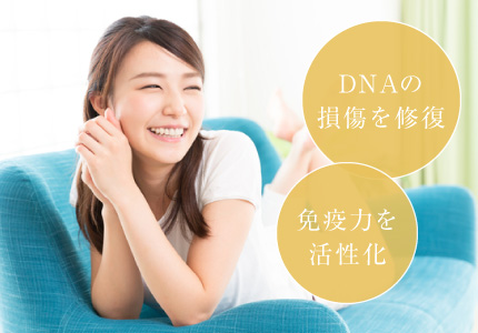 DNAの損傷を修復 免疫力を活性化