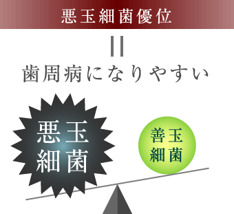 悪玉細菌優位＝歯周病になりやすい