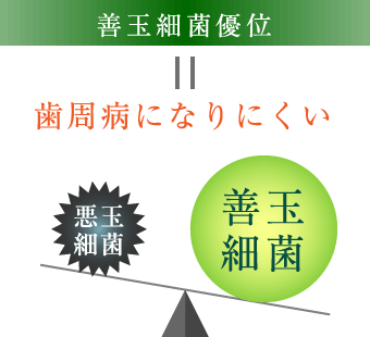 善玉細菌優位＝歯周病になりにくい