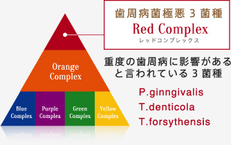 歯周病菌極悪3菌種レッドコンプレックス