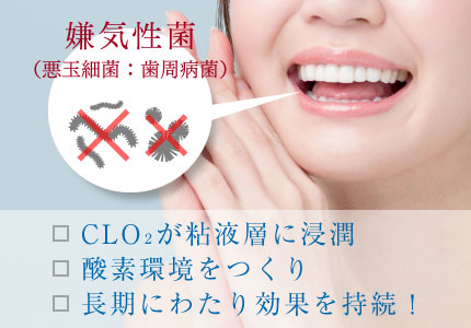 二酸化塩素濃度が粘液層に浸潤、酸素環境をつくり、CLO2が粘液層に浸潤酸素環境をつくり長期にわたり効果を持続！