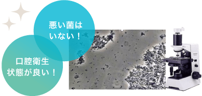 悪い菌はいない！ 口腔衛生状態が良い！