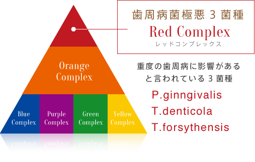 歯周病菌極悪3菌種