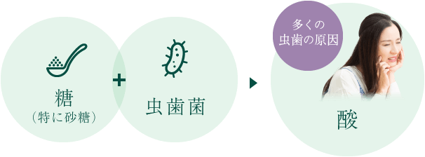 糖（特に砂糖）＋虫歯菌＝酸（多くの虫歯の原因）