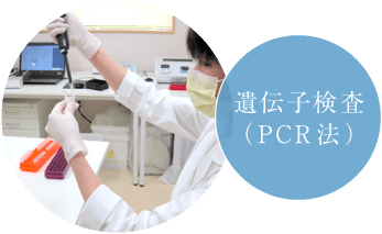 遺伝子検査（PCR法）