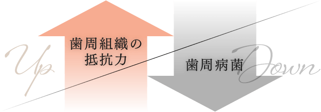 免疫力をアップさせ、歯周病金を徹底除菌する