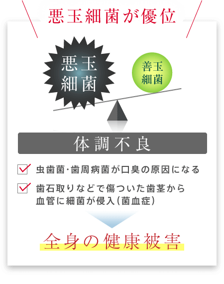 悪玉細菌が優位だと全身の全身の健康被害に繋がります